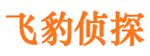 城子河市婚外情调查